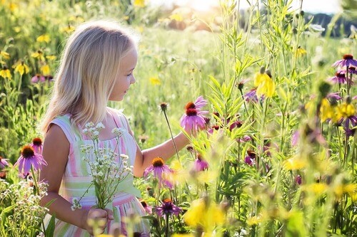 Girl in field of flowers. 