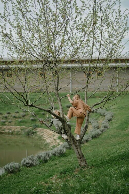 Kids climbing a tree.