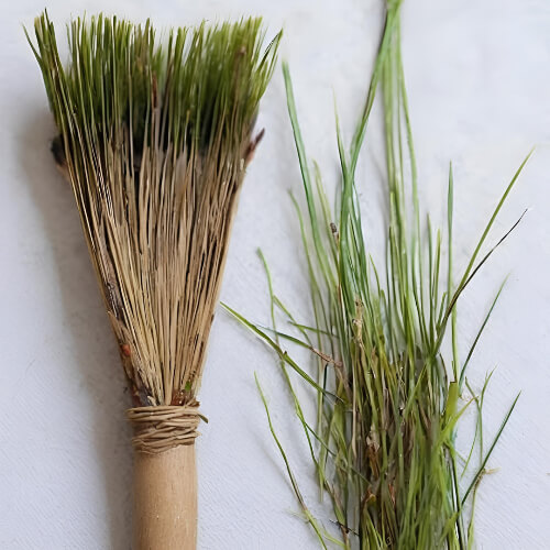 Nature paint brush