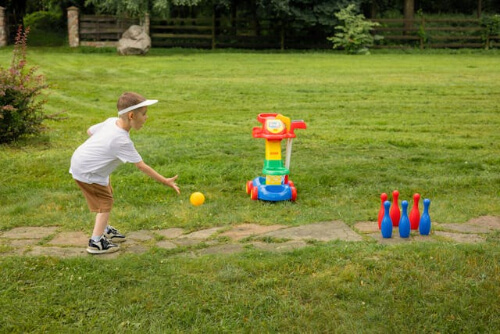 Backyard bowling