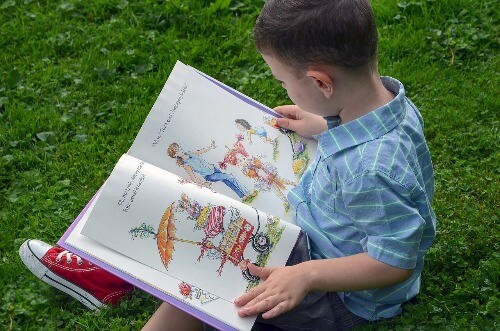Toddler reading a picture book.
