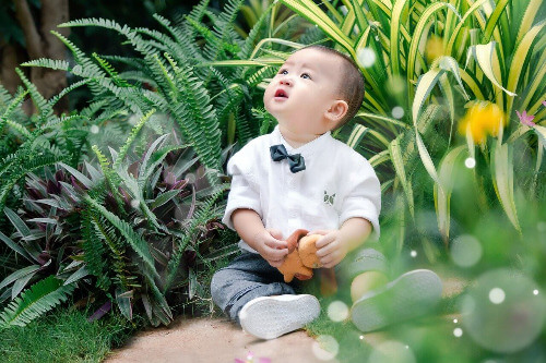 Boy outside in long grass looking up at something