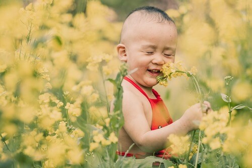 Child in a field of flowers. Child in a field of flowers.